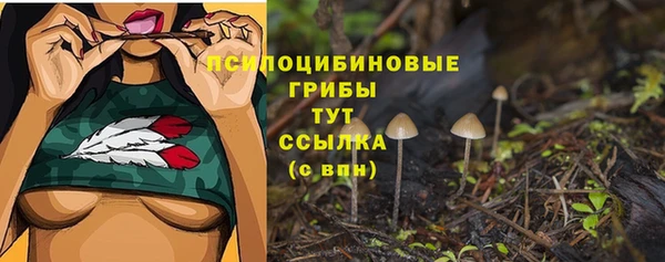 гидра Балабаново