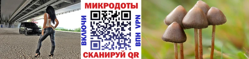Псилоцибиновые грибы Psilocybine cubensis  Сосновка 